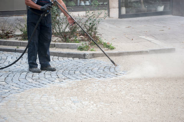 Best Driveway Cleaning and Restoration in Saranap, CA